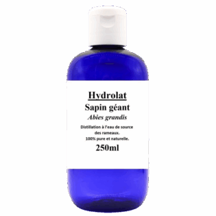 Eau florale - Sapin Géant