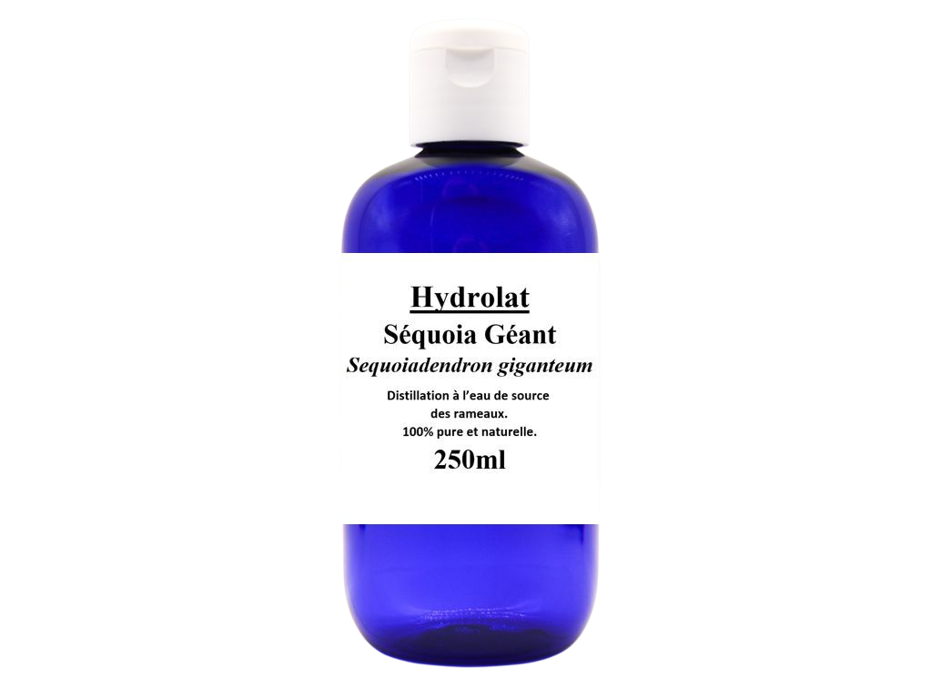 Eau florale - Séquoia Géant