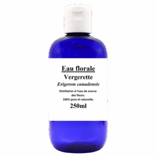 Eau florale - Vergerette