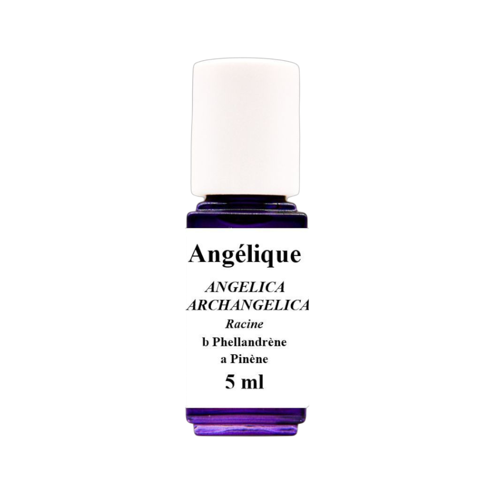 HE Angélique (Racines)