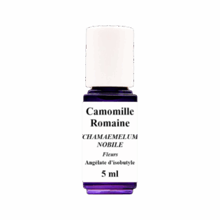 HE Camomille Romaine