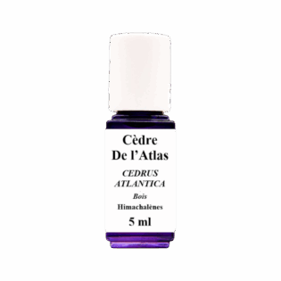 HE Cèdre de l'Atlas