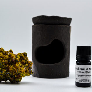 Coffret - Symphonie d'Amara avec Diffuseur (au choix)