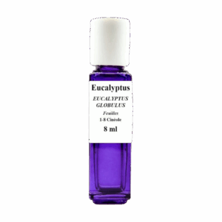 HE Eucalyptus globulus