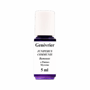 HE Genévrier (Rameaux & baies)