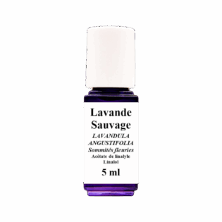 HE Lavande Sauvage