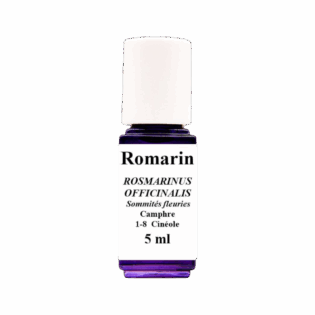 HE Romarin à Camphre