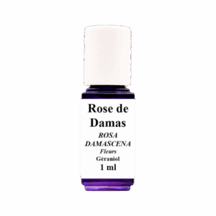 HE Rose de Damas