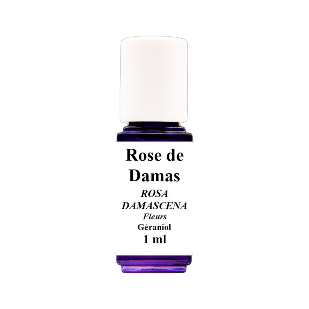HE Rose de Damas