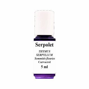HE Serpolet