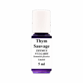 HE Thym à Linalol