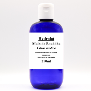 HA Main de Bouddha
