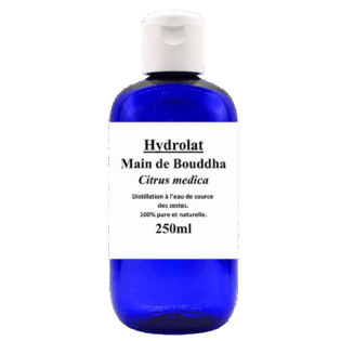 HA Main de Bouddha