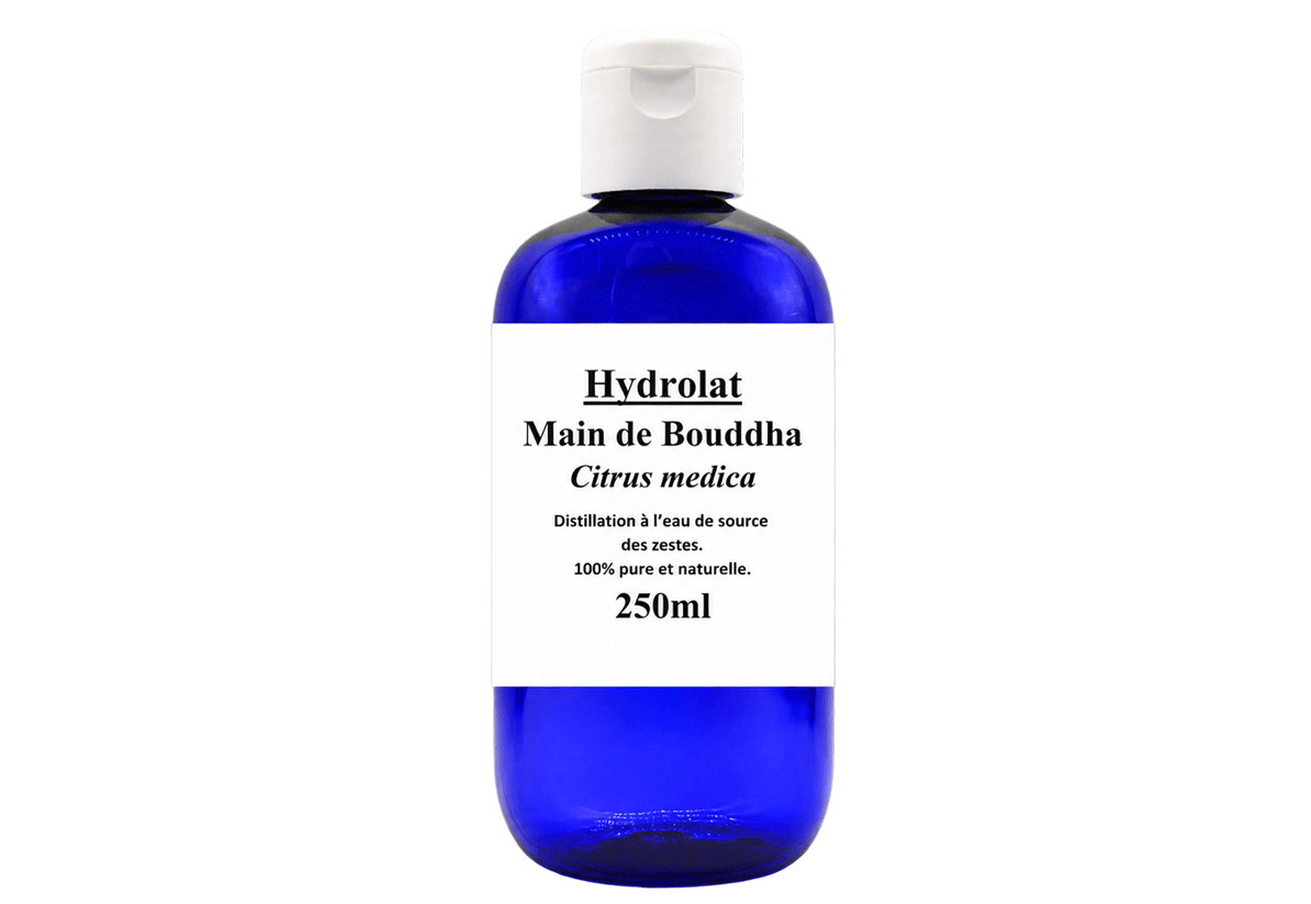 HA Main de Bouddha