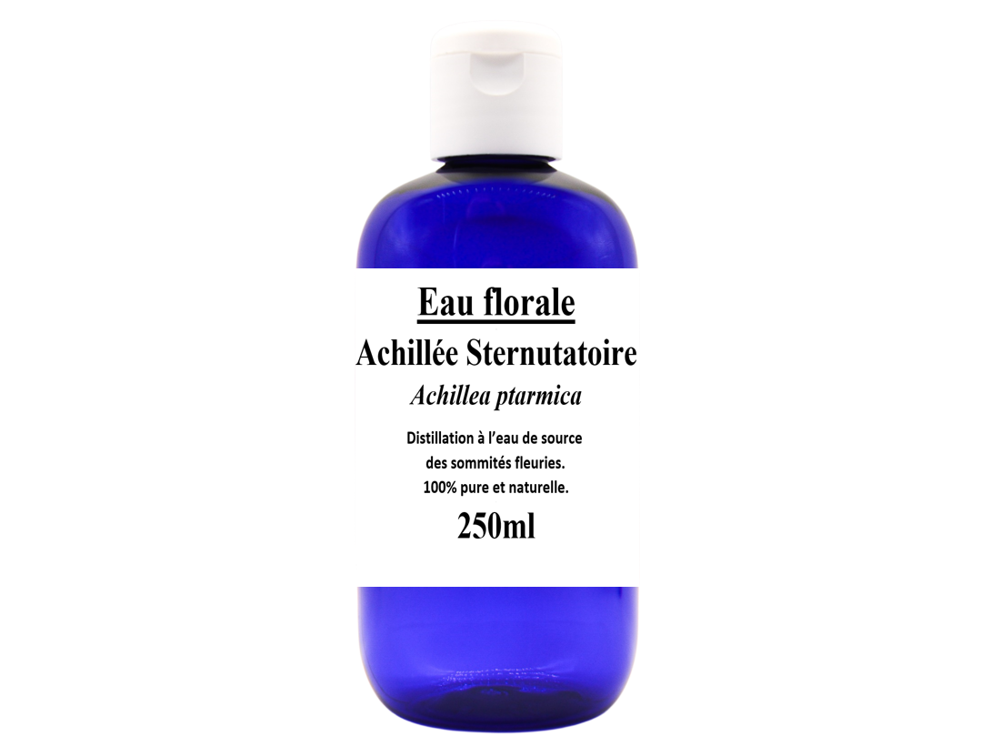 HA Achillée sternutatoire