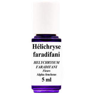 HE Hélichryse faradifani