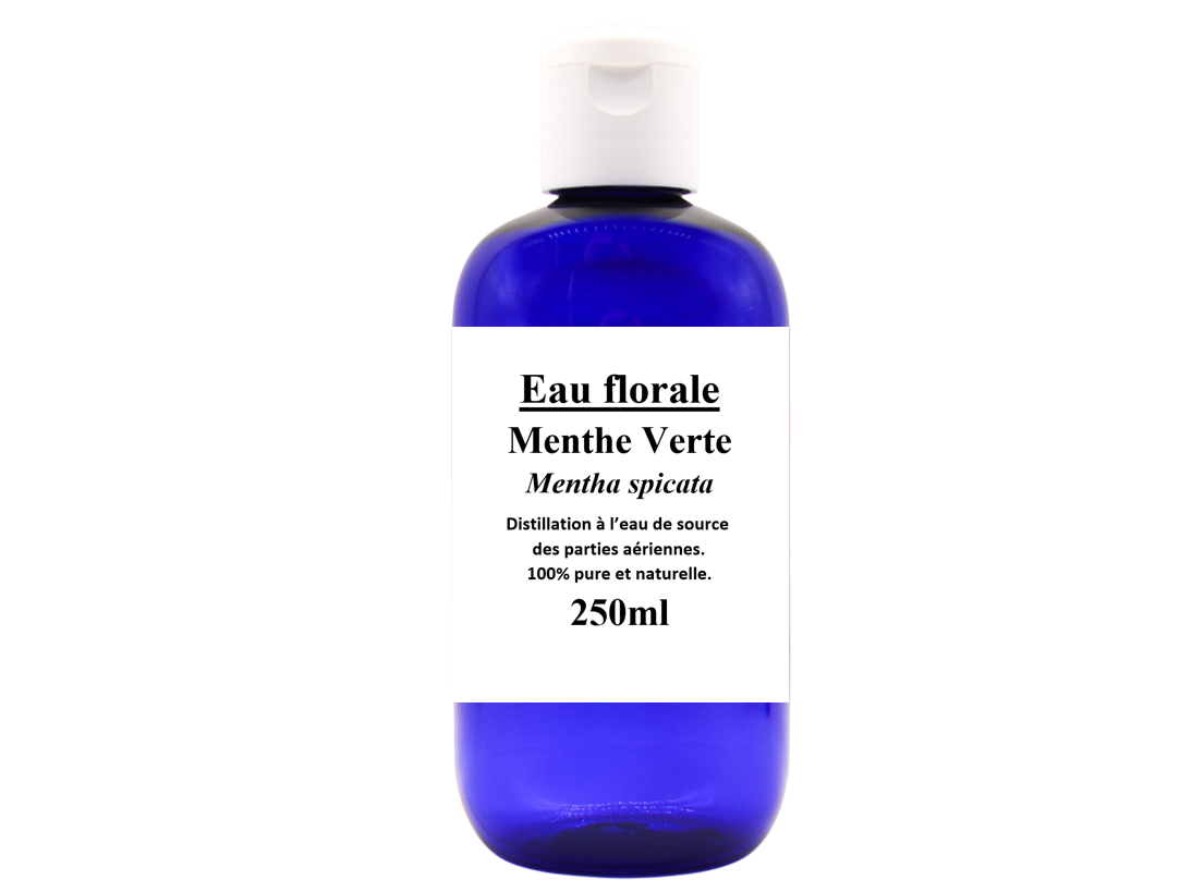 HA Menthe verte