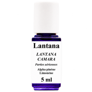 HE Lantana