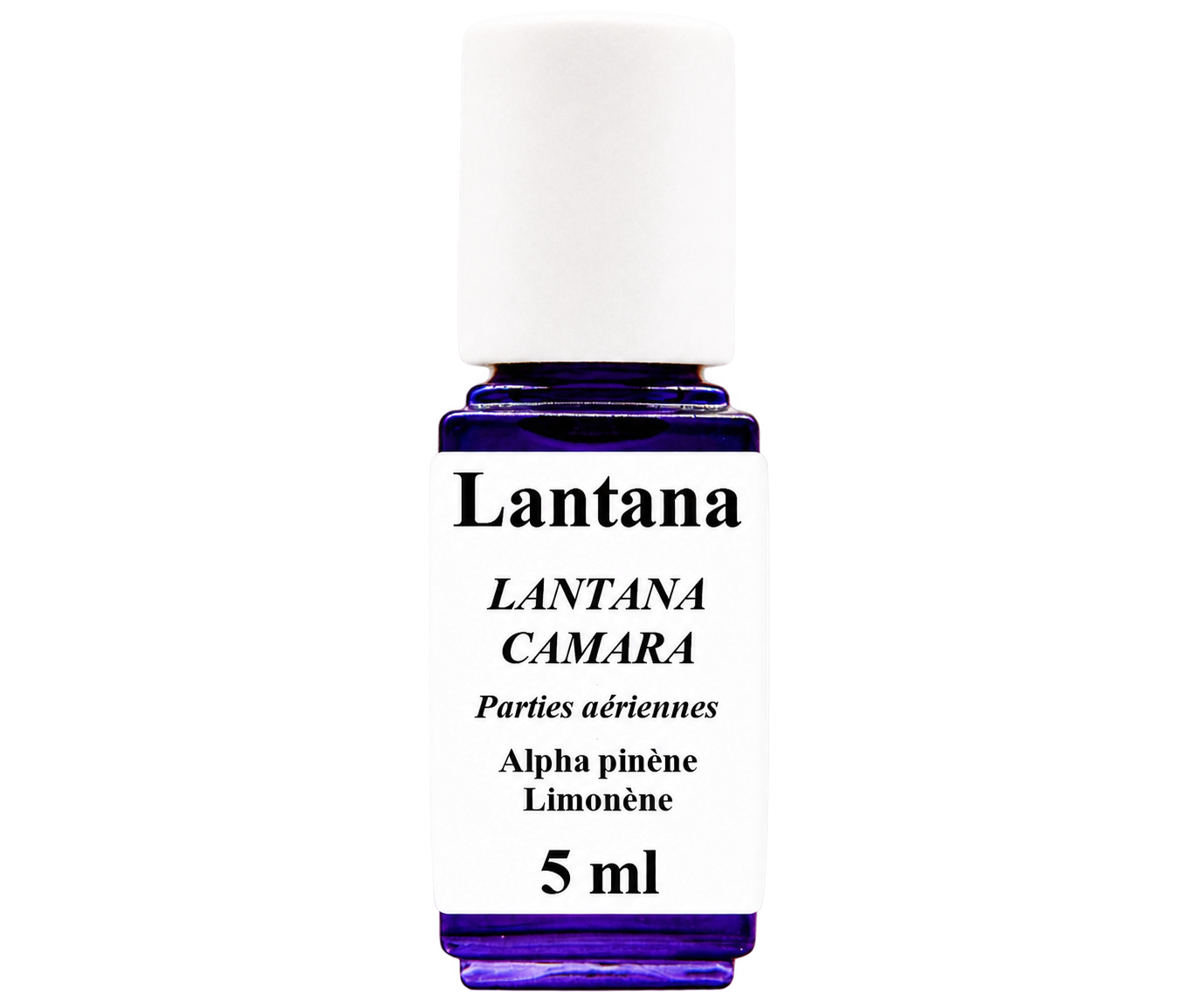 HE Lantana